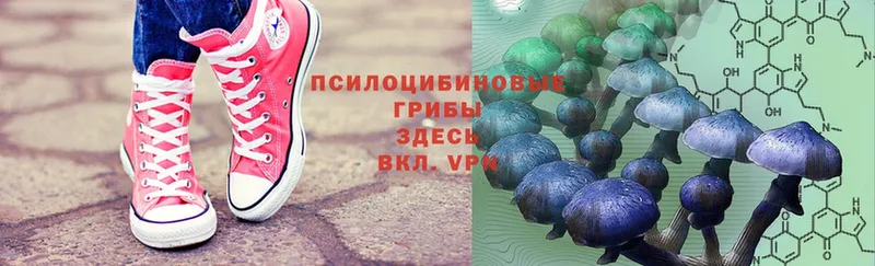 Галлюциногенные грибы Psilocybe  закладки  Бронницы 