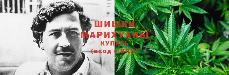 где найти   Бронницы  Конопля Ganja 